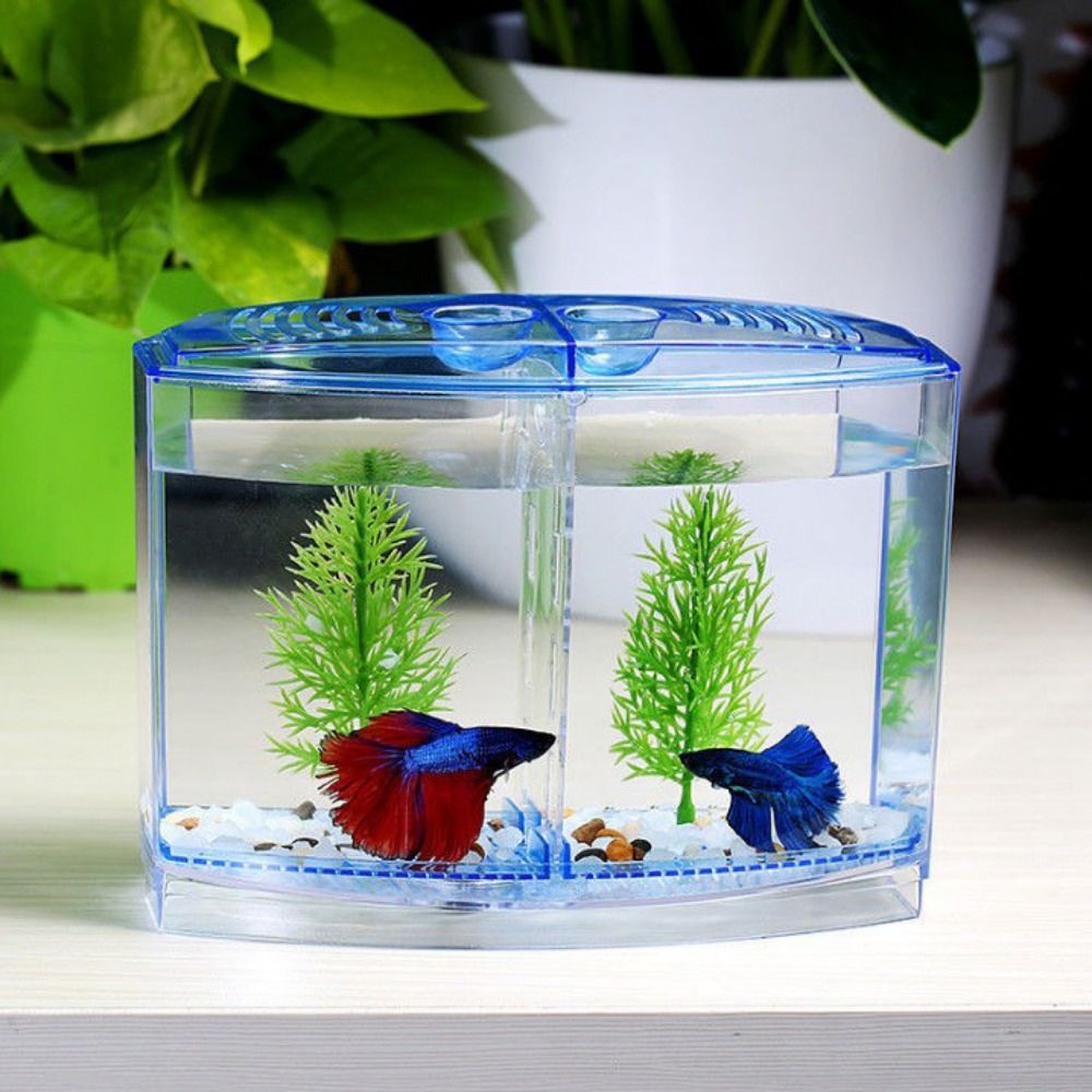 Aquarium Fish Betta - 透明なベタフィッシュタンク、二重グリッドロンバスゴッピー水族館、孵化と訓練分離ボックス
