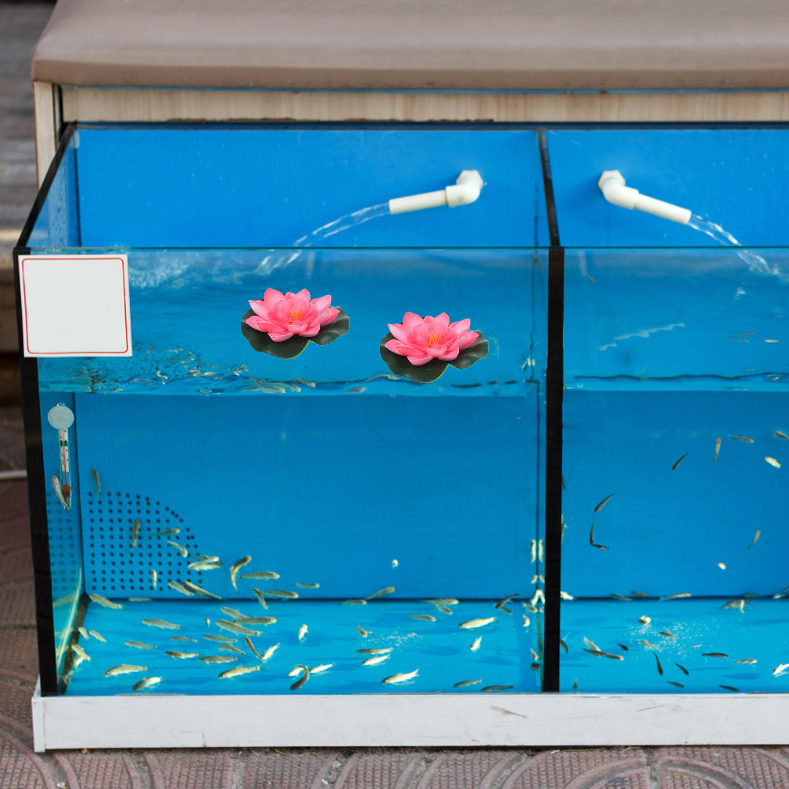 池、プール、噴水、水槽、庭の装飾に使える、リアルな造花の水生 - Aquarium Plants のレビューと価格