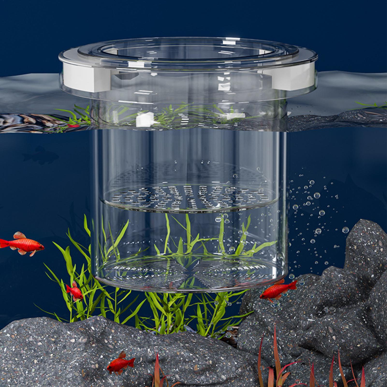 フローティングフィッシュブリーディングアイソレーションボック - Aquarium Fish Betta のレビューと価格