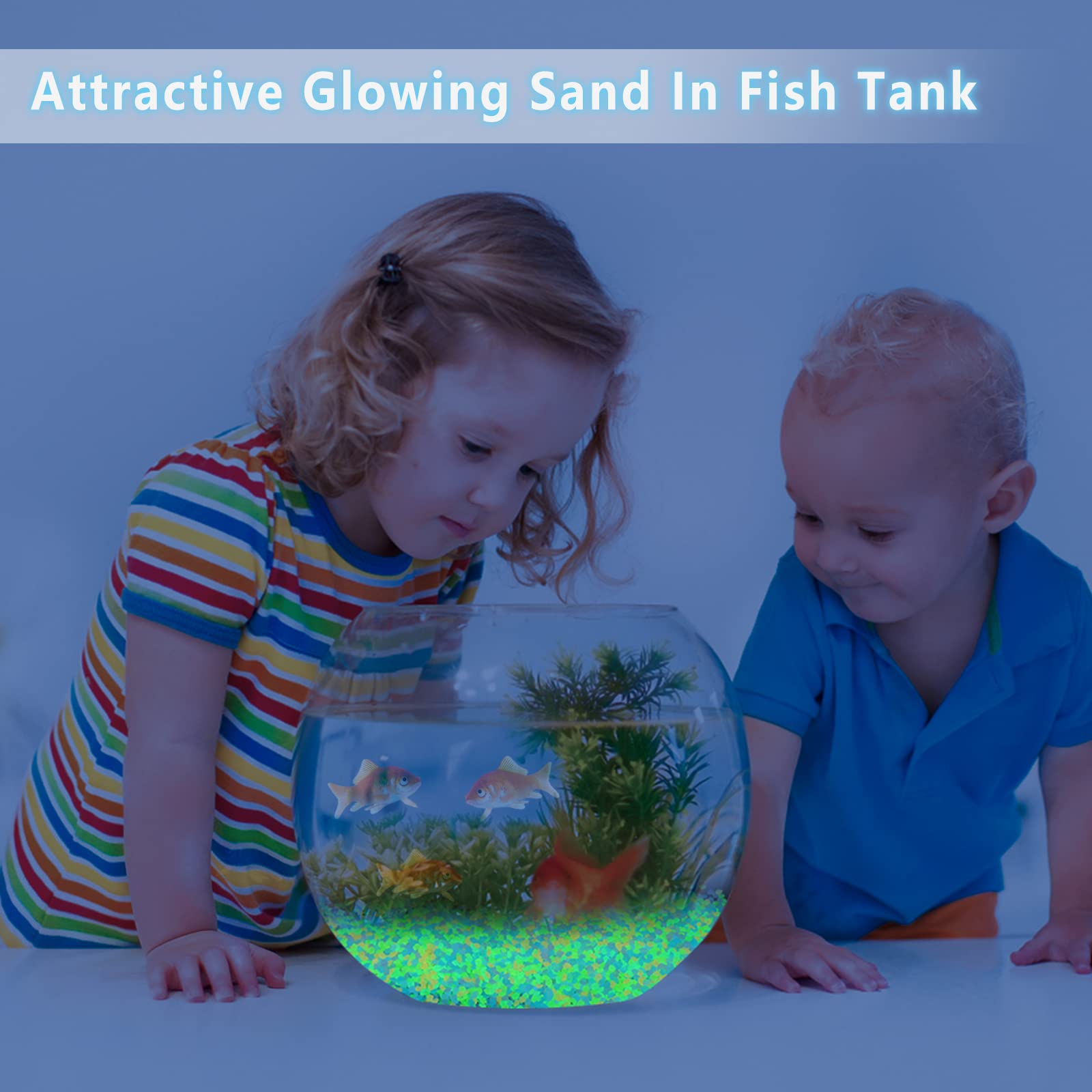 1000個の夜光砂、暗闇で光る小石、家の庭、屋外の小道、芝生 - Fish Aquarium Home のレビューと価格