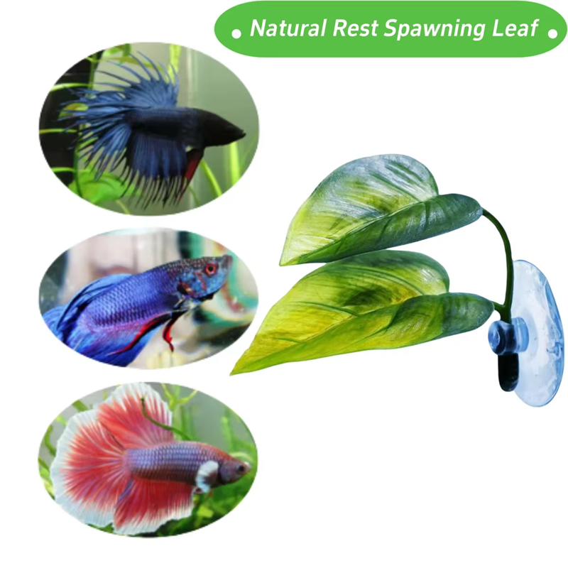 水槽用ペット用品装飾人工水生植物水槽造景人工ベタフィッシュリ - Aquarium Fish Betta のレビューと価格