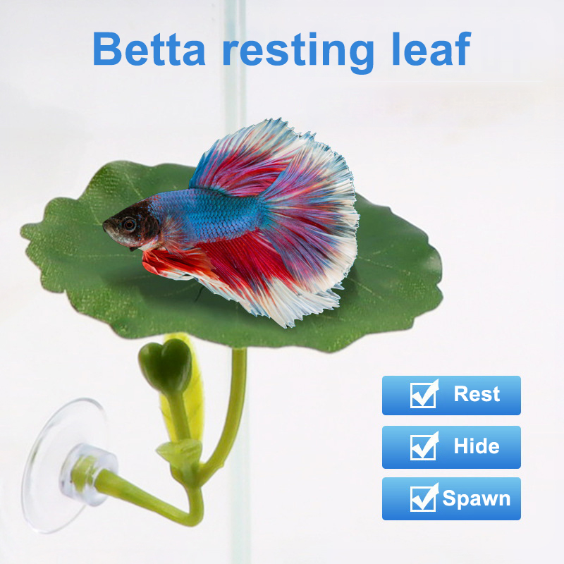 (Ce14)1/5個入り、緑色の葉っぱのハンモック。ベタ魚用 - Aquarium Fish Betta のレビューと価格
