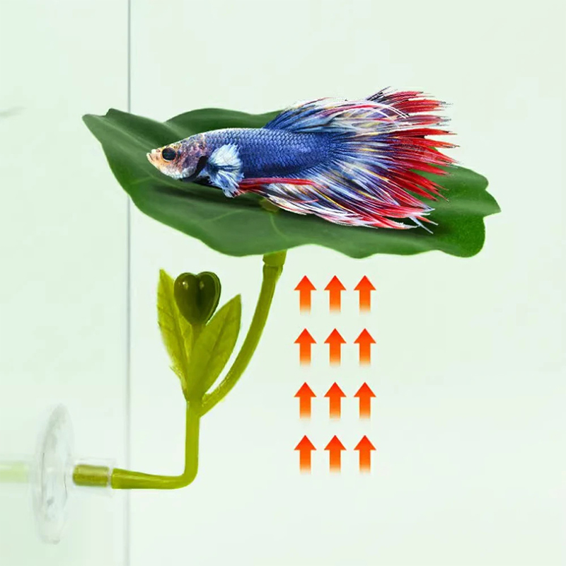 (Ce14)1/5個入り、緑色の葉っぱのハンモック。ベタ魚用 - Aquarium Fish Betta のレビューと価格