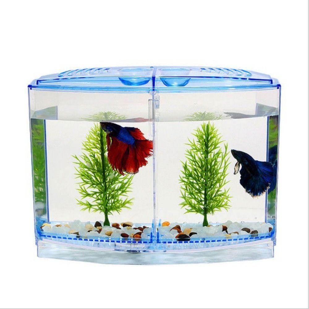 透明なベタフィッシュタンク、二重グリッドロンバスゴッピー水族 - Aquarium Fish Betta のレビューと価格