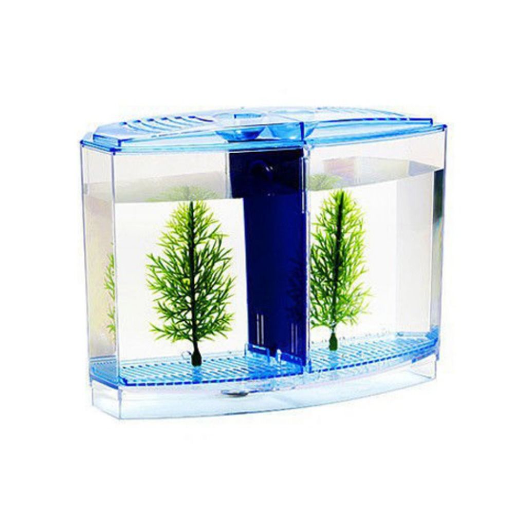 透明なベタフィッシュタンク、二重グリッドロンバスゴッピー水族 - Aquarium Fish Betta のレビューと価格