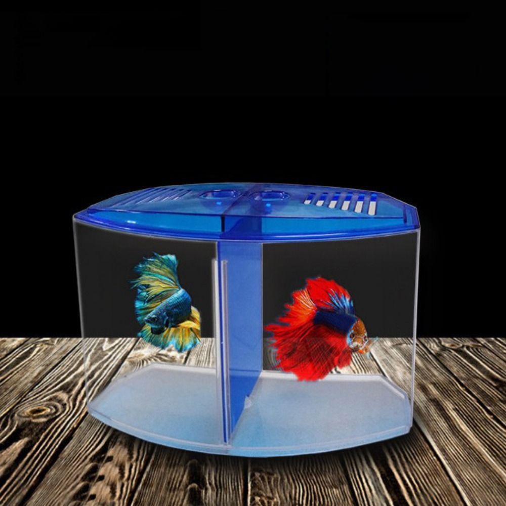 透明なベタフィッシュタンク、二重グリッドロンバスゴッピー水族 - Aquarium Fish Betta のレビューと価格