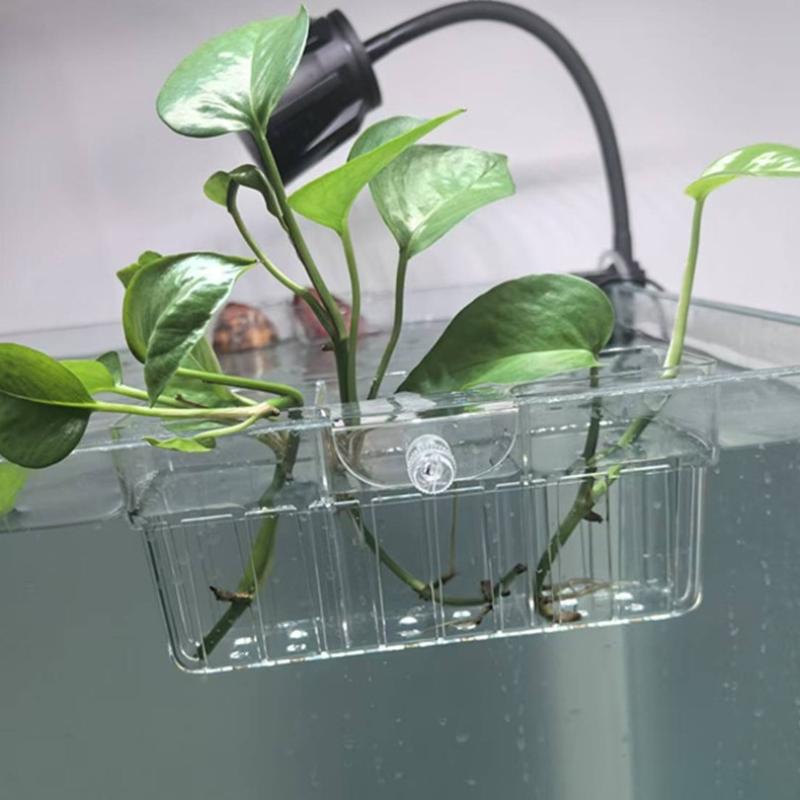 水耕栽培用植物バスケット 食品グレード 水生植物ホルダー 1 - Aquarium Fish Tank のレビューと価格