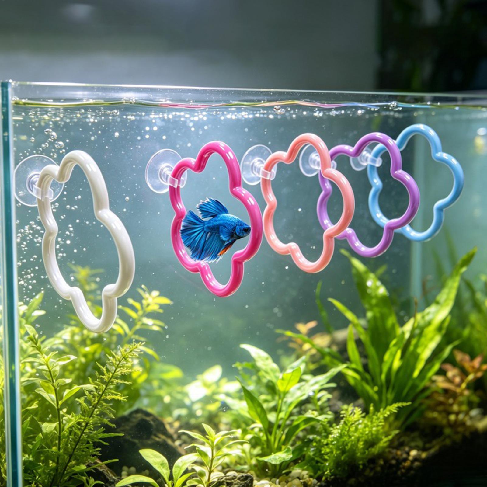ベタ魚のおもちゃ 5個入り カラフルな吸盤付き水槽アクセサリ - Aquarium Fish Betta のレビューと価格