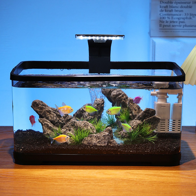 卓上水槽循環フィルター付きアクアリウム、静音エコ水槽、家庭装 - Fish Tank Filter のレビューと価格
